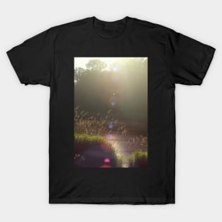 view across Trojan pond, near Goble, Oregon with lens flair T-Shirt